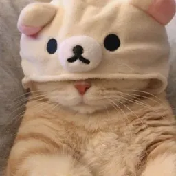 otakoo